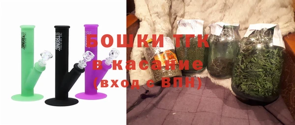 прущие грибы Абдулино