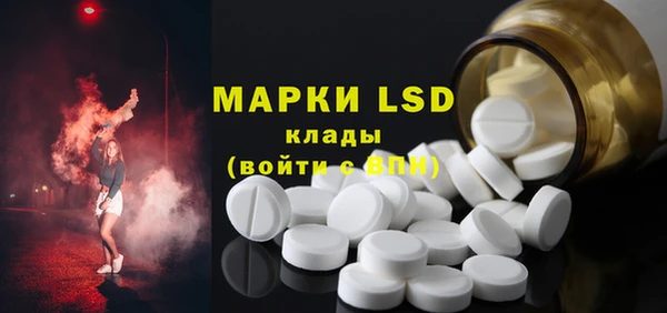прущие грибы Абдулино
