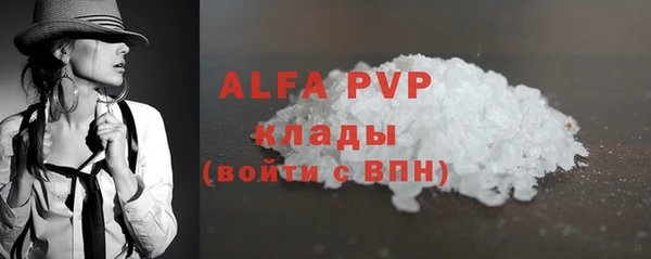 прущие грибы Абдулино