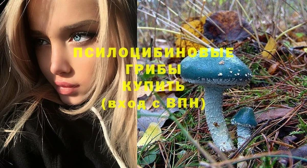 2c-b Абинск