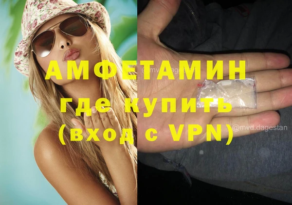 прущие грибы Абдулино