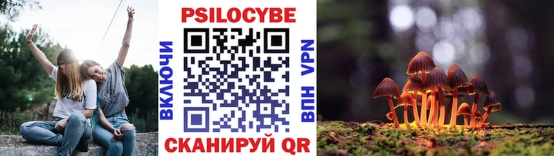 Галлюциногенные грибы мицелий где найти наркотики блэк спрут ССЫЛКА Нижнекамск